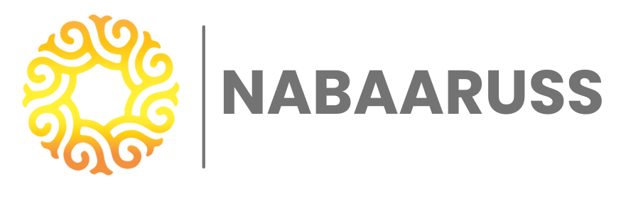 Web design and ICT Solution nabaaruss.com